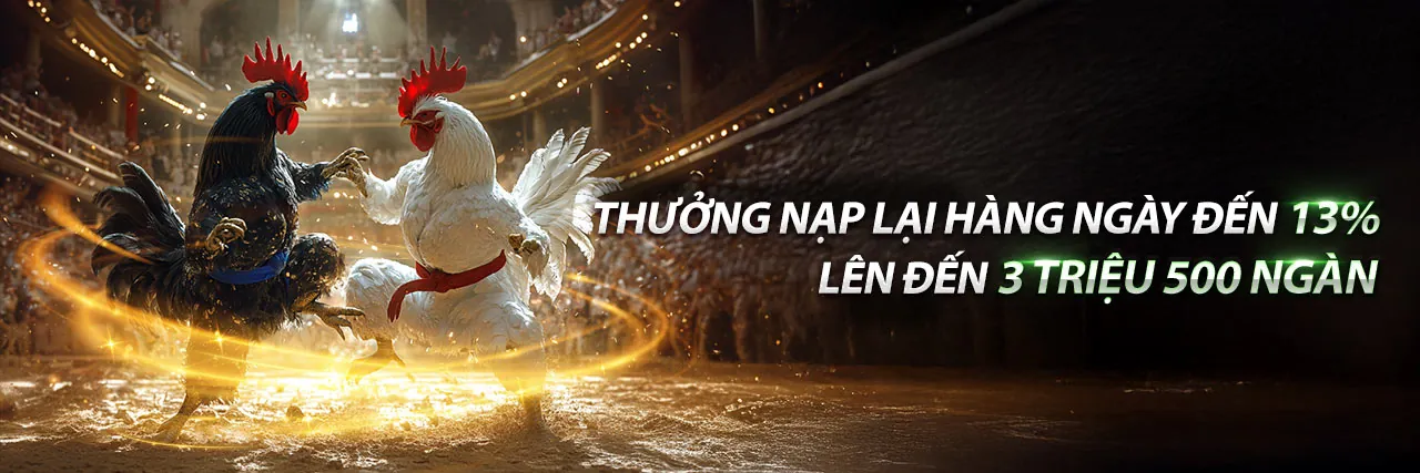 Hình ảnh chính của Blog rg8369 nổ hũ